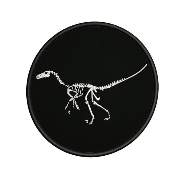 raptor skeleton jurassic park