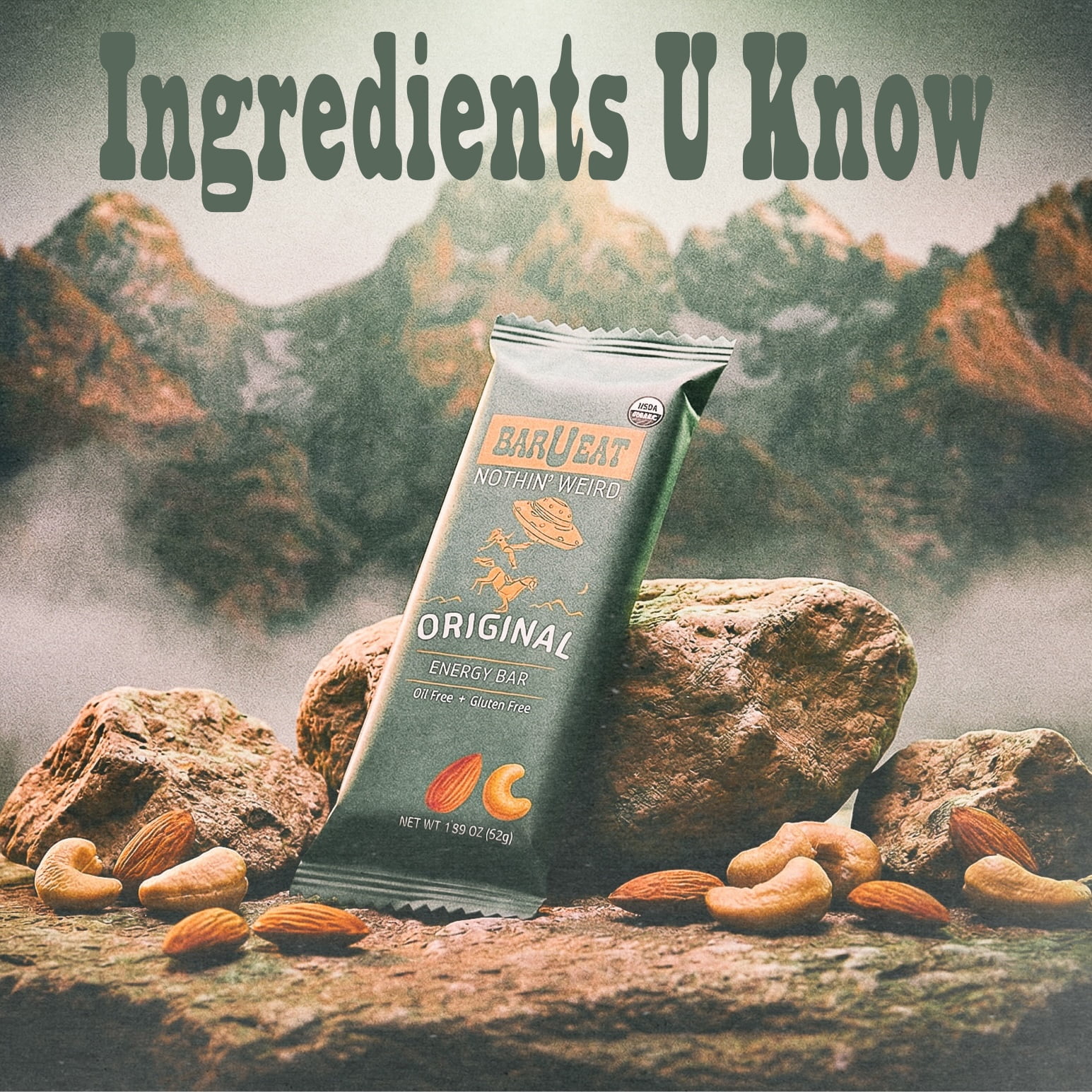 BAR-U-EAT Gluten-Free, Organic, Soft & Chewy Energy Bar. Whole Food Ingredients | Compostable Packaging | No Artificial Sugar Healthy Snack (Original 12 Pack)