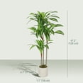thumbnail image 3 of HOMCOM 4FT Artificial Dracaena Tree, Lifelike Fake Plant for Home Decor, 3 of 10