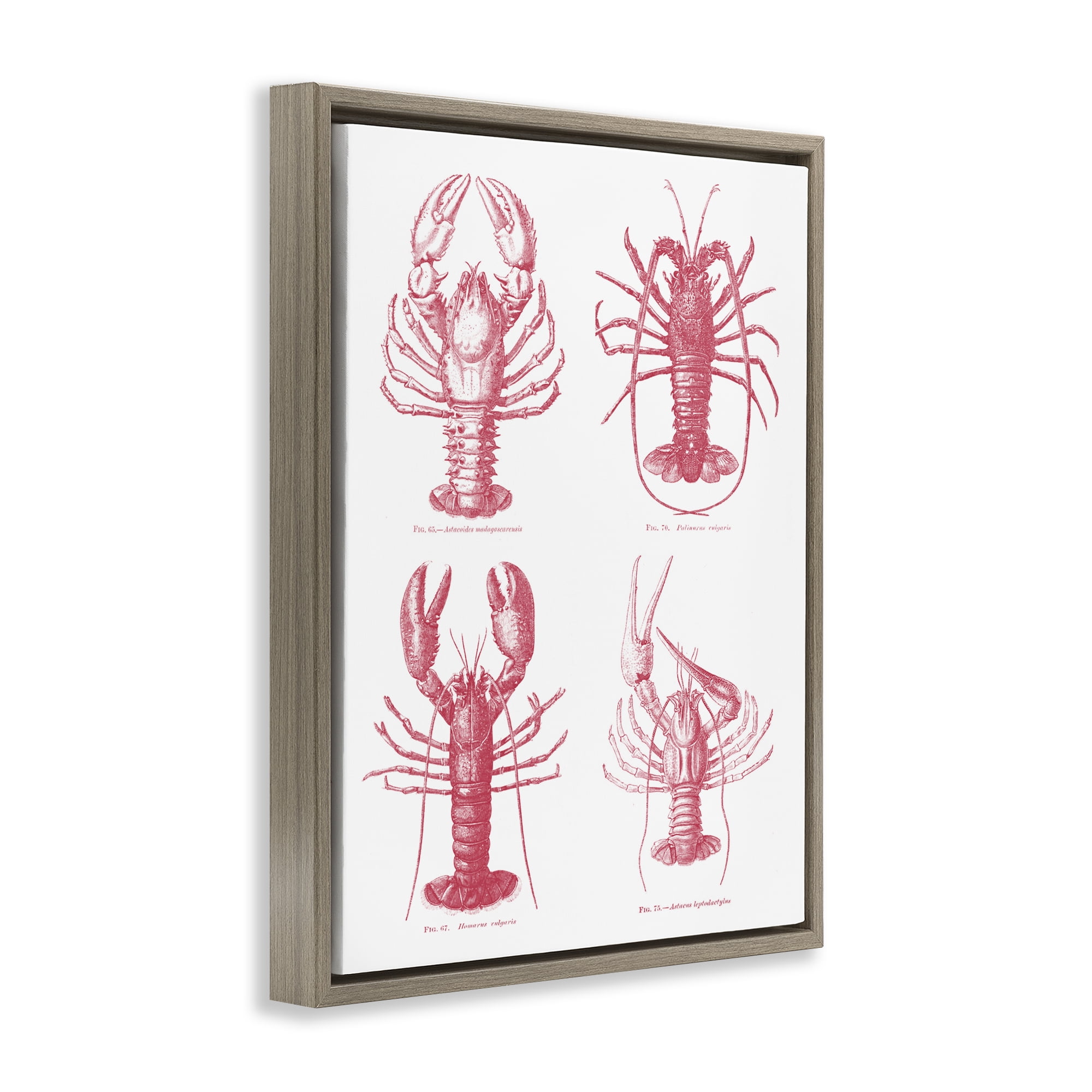 Timeless Lobsters Species Brown Framed Floater Canvas Wall Art, design by Lettered and Lined