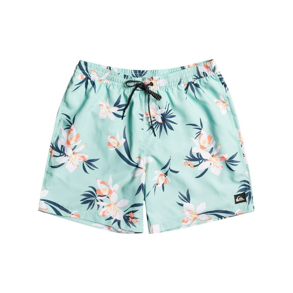 Quicksilver Men's Everyday Mix Volley 17" Swim Shorts Beach Glass XL