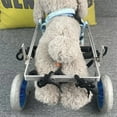 Adjustable Dog Cart Wheelchair For Back Legs Mobility Aids Tool For