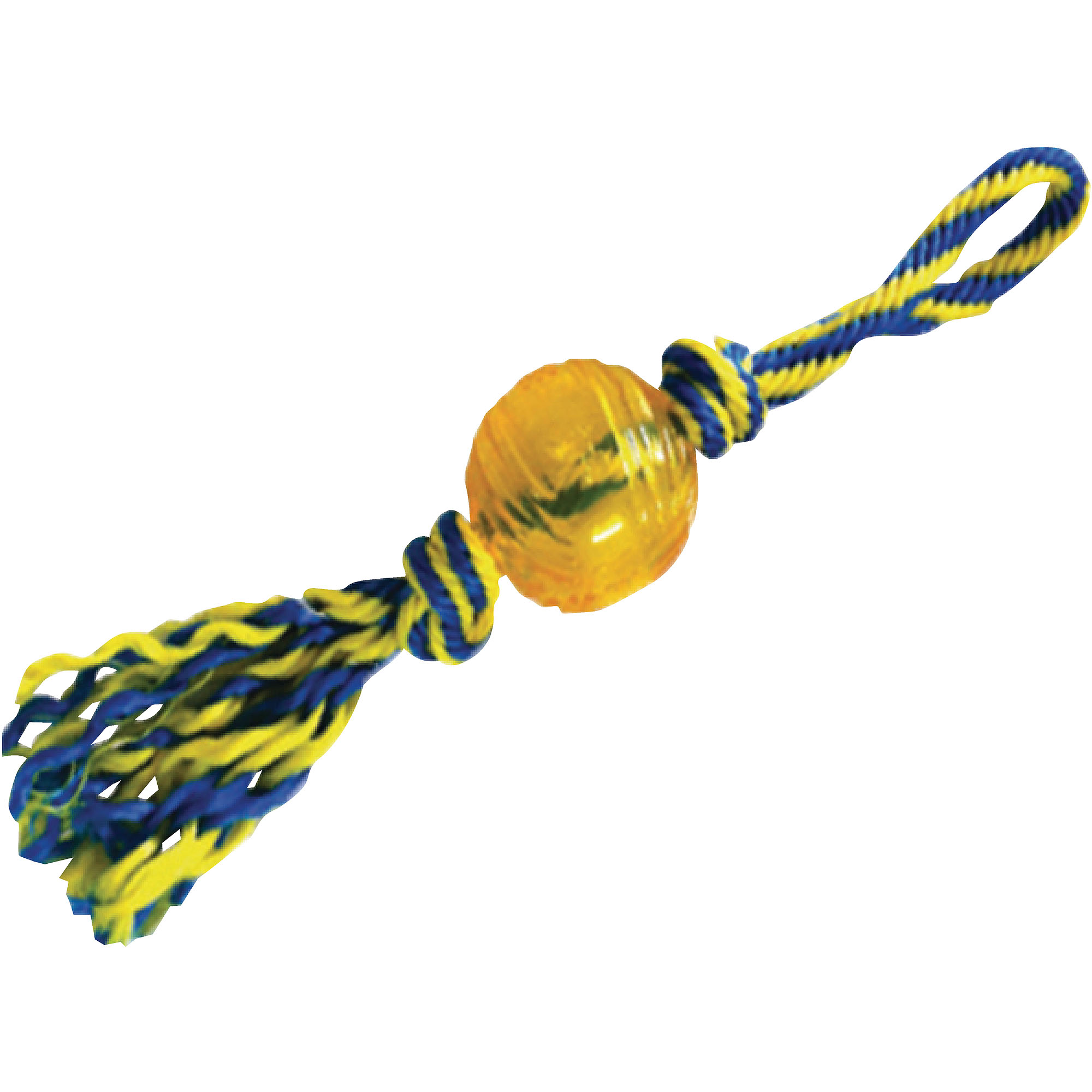 Paws Aboard Interactive Pet Play Toy, Rubber Ball with Rope