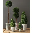 thumbnail image 3 of Creative Co-Op 17" Preserved Boxwood Cone Topiary in Clay Pot, 3 of 3