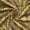 Tan, variant on Floral Bloom Two Tone Polyester Rayon Chenille Damask Jacquard 57 Inch Heavyweight Abrasion Resistant Fabric For Sewing Upholstery & More - Gold, 1 Yard
