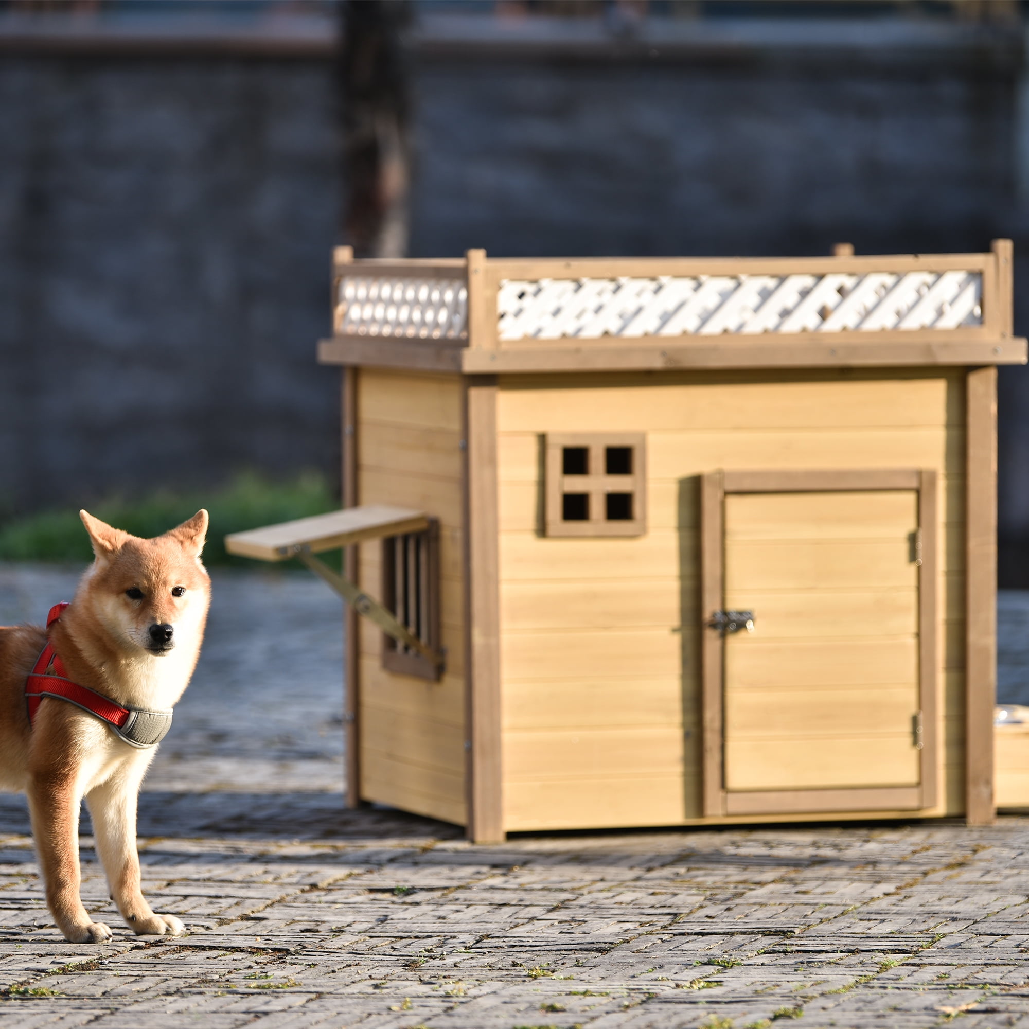 indoor dog house walmart