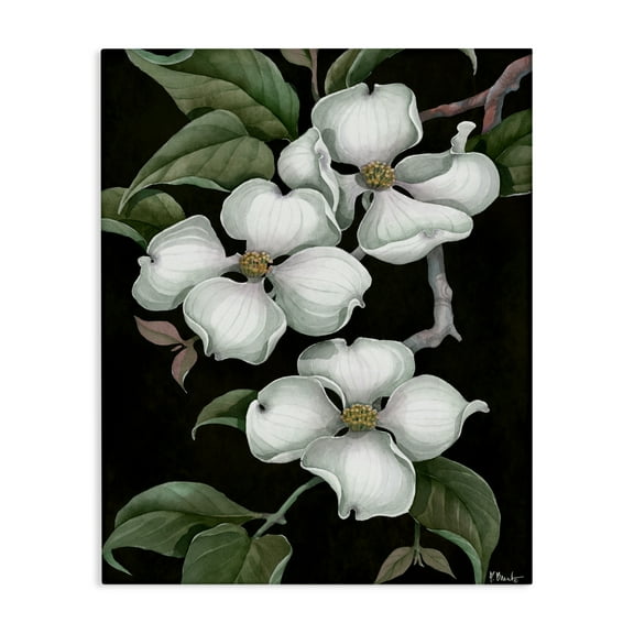 Stupell Industries Vintage Dogwood Trio Canvas Wall Art design by Paul Brent, 20 x 16