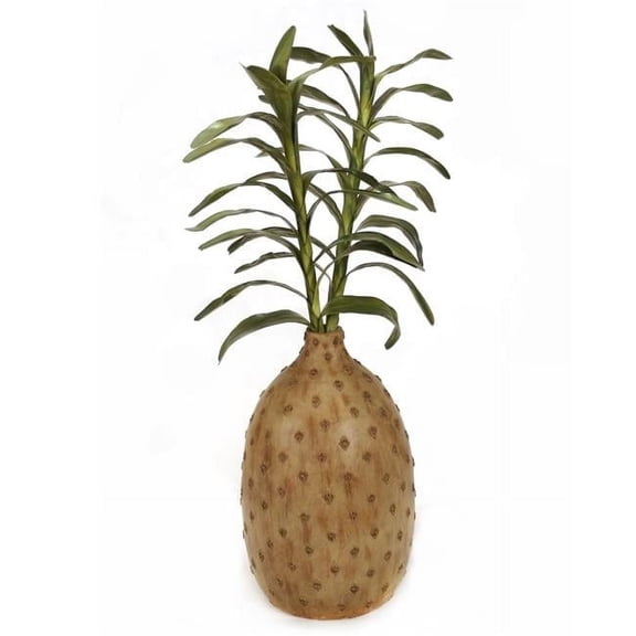 Disttive Designs 1945 Unisex Dendrobium Leaves in Tall Cork Planter - Green