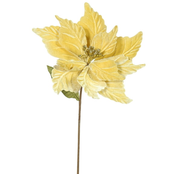 Vickerman 22" Gold Poinsettia Artificial Christmas Flower, 6 per Bag