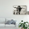 thumbnail image 3 of Trademark Fine Art 'Longhorn Portrait Centered' Canvas Art by Tyler Stockton, 3 of 4