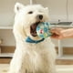 thumbnail image 5 of Pelota de juguete para perros con sonido interactivo y olor para perros pequeños y medianos, ideal para aliviar el aburrimiento y entrenar., 5 of 5