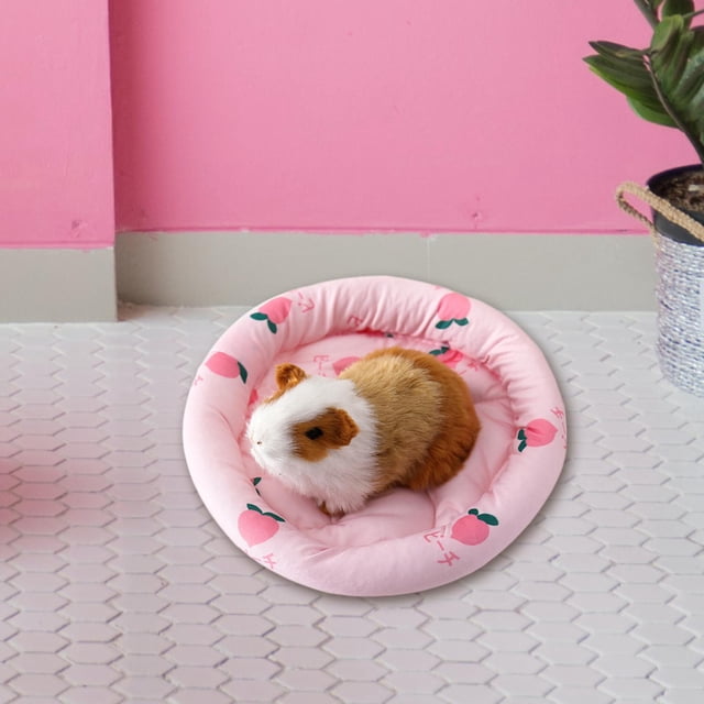Almohadilla para Nido de Mascotas Pequeñas Colchoneta Redonda Salvador Rosa S