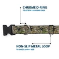 thumbnail image 5 of Buckle-Down Pet Collar, Dog Collar Plastic Buckle, Hunting Camo, 9.5 to 14.5 Inches 0.5 Inch Wide, 5 of 8