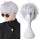 thumbnail image 4 of Peluca de anime para cosplay TQEHS Gris plateado, 4 of 5