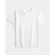 thumbnail image 3 of Playera Hollister Original Con Cuello Redondo E Icono, 3 of 5