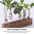 thumbnail image 4 of Estación De Propagación De Plantas, Estación De Propagación De Plantas De Vidrio Tubos De Propagación De Plantas Terrario De Plantas De Escritorio Con Soporte De Mini Tubo De, 4 of 7