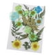 thumbnail image 2 of de 25 vias flores secas de natural múltiples Hojas uñas te tesanía Jabón hecho a mano Ve Resina Material Macarena Flores secas prensadas naturales, 2 of 8