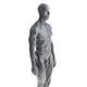 thumbnail image 4 of Modelo de anatomía masculina de 11 pulgadas, kit de estudio anatómico de músculos y esqueleto - Gris, 4 of 9