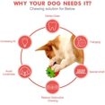 thumbnail image 3 of Juguete masticable para perros para masticadores agresivos, juguetes duraderos para cachorros para entrenamiento IQ y enriquecimiento mental JFHHH pequeña, 3 of 5