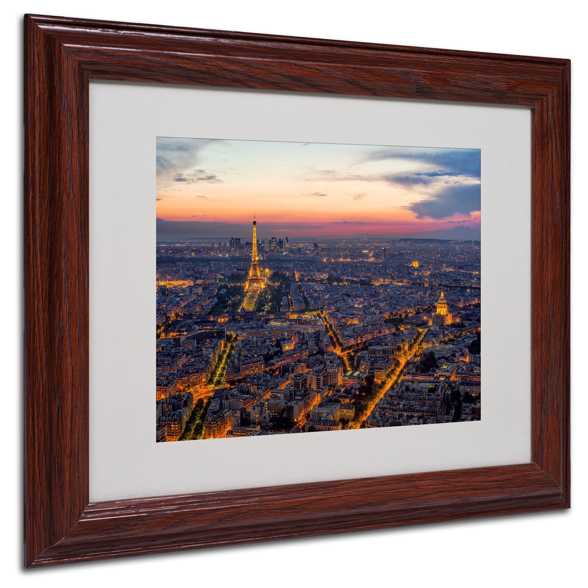 Trademark Fine Art "From the Roofs of Paris" Framed Canvas Art by Mathieu Rivrin