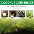 thumbnail image 5 of Taicans 1Pcs Coconut Coir Bricks,Organic Potting Soil,Organic Planting Growing Medium,High Water Retention & Aeration,for Seed Starting,Potting Mix,Hydroponics,Vegetables & Flowers,Expands, 5 of 8