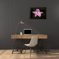 thumbnail image 4 of Crane, Rita 24x17 Black Modern Framed Museum Art Print Titled - Pink Lily I, 4 of 5