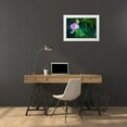 thumbnail image 3 of Jenny Rainbow Fine Art 18x14 White Modern Wood Framed Museum Art Print Titled - Graceful Lotus, 3 of 4