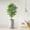 Ficus Tree, variant on Artificial Tree in Modern Granite Effect Planter, Fake Bird of Paradise Silk Tree for Indoor and Outdoor Home Decoration - 58" Overall Tall (Plant Pot Plus Tree)