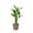 A, variant on Bfogop Lucky Bamboo, Fake Plants Artificial Green Simulation Plant Potted Home Office Hotel Lobby Decoration Green Plants Home Decoration Artificial Plants 17 Inch