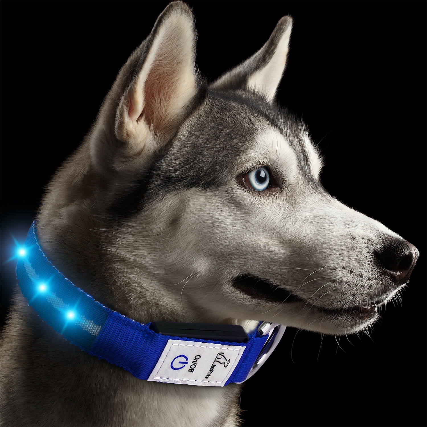 light up dog leash walmart