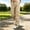 Khaki, variant on Women's Outdoor Cargo Pants, Elastic Waist, Button Zipper & Multi-Pocket, Hiking Casual Trousers Khaki XXL