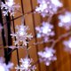 thumbnail image 3 of Luces navideñas Luces de copo de nieve - Total 1.5 metros 10 luces de hadas Funciona con batería a prueba de agua para decoraciones navideñas para interiores / exteriores (luz colorida) brillar Electrónica, 3 of 5