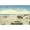 Unframed, variant on Art.com Cars on Beach, Stuart, Florida Art Print, 18" x 12"