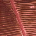 thumbnail image 1 of Ahgly Company Machine Washable Indoor Square Transitional Grapefruit Red Area Rugs, 4' Square, 1 of 7