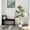 White Basin, variant on Accreate Artificial Frangipani Tree 120cm, Silk Fabric + Plastic, Artificial Plant with Pot, Indoor Decoration for Living Room/Entryway, Nordic Style, Maintenance-Free