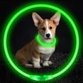 thumbnail image 3 of collar perro Collar luminoso Led para perro, collar para perro ,arnés con luz nocturna ajustable, correa para perros pequeños y gatos, accesorios de seguridad para mascotas, 3 of 4