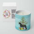 thumbnail image 2 of Carolines Treasures BB9282CDL 3.75 x 3.25 in. Unisex Friesian Horse Christmas 10 oz Decorative Soy Candle, Teal, 2 of 5
