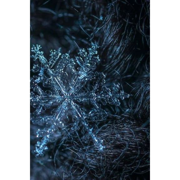 Snowflake Notebook (Paperback)