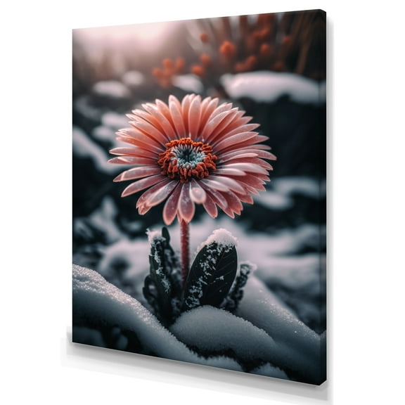 Designart A Blooming Pink Gerbera Flower In Winter II Canvas Wall Art