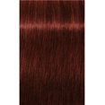 thumbnail image 2 of Schwarzkopf Igora Absolutes 6-80 Blond Foncé Rouge Naturel, 60 g, 2 of 2