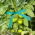 thumbnail image 2 of WORGEOUS 2 rollos de cintas de corbata de jardín convenientes árboles de injerto de injerto cintas de corbata estacionada cinta de planta cinta adhesiva, 2 of 8