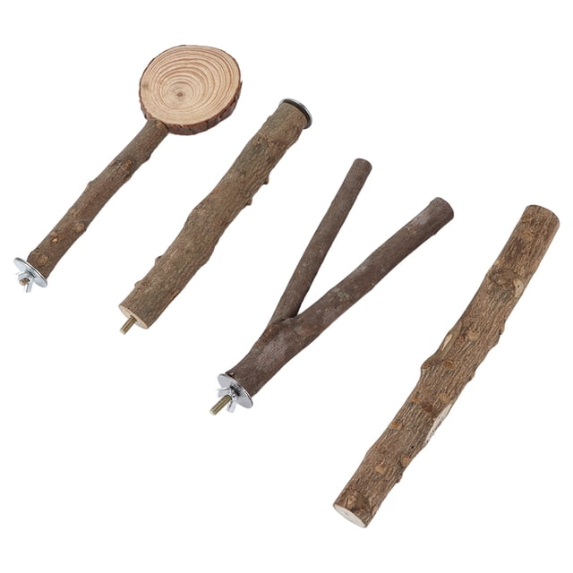 Ensemble de Bâtons pour Oiseaux, Ensemble de Bâtons pour Perroquet, Ensemble de Plateforme de Haut de Gamme