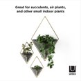 thumbnail image 3 of Umbra Trigg Wall Display (Ensemble de 2), Noir / Laiton, 3 of 6