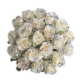 thumbnail image 2 of Painted Firework Confetti Roses - Farm Direct Fresh Cut Flowers - 100 Stems - by Bloomingmore, 2 of 9