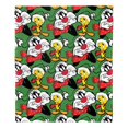 thumbnail image 2 of Looney Tunes Holiday Dreamers Warner Bros Kids Silk Touch Throw Blanket, 50 x 60 inches, 2 of 5