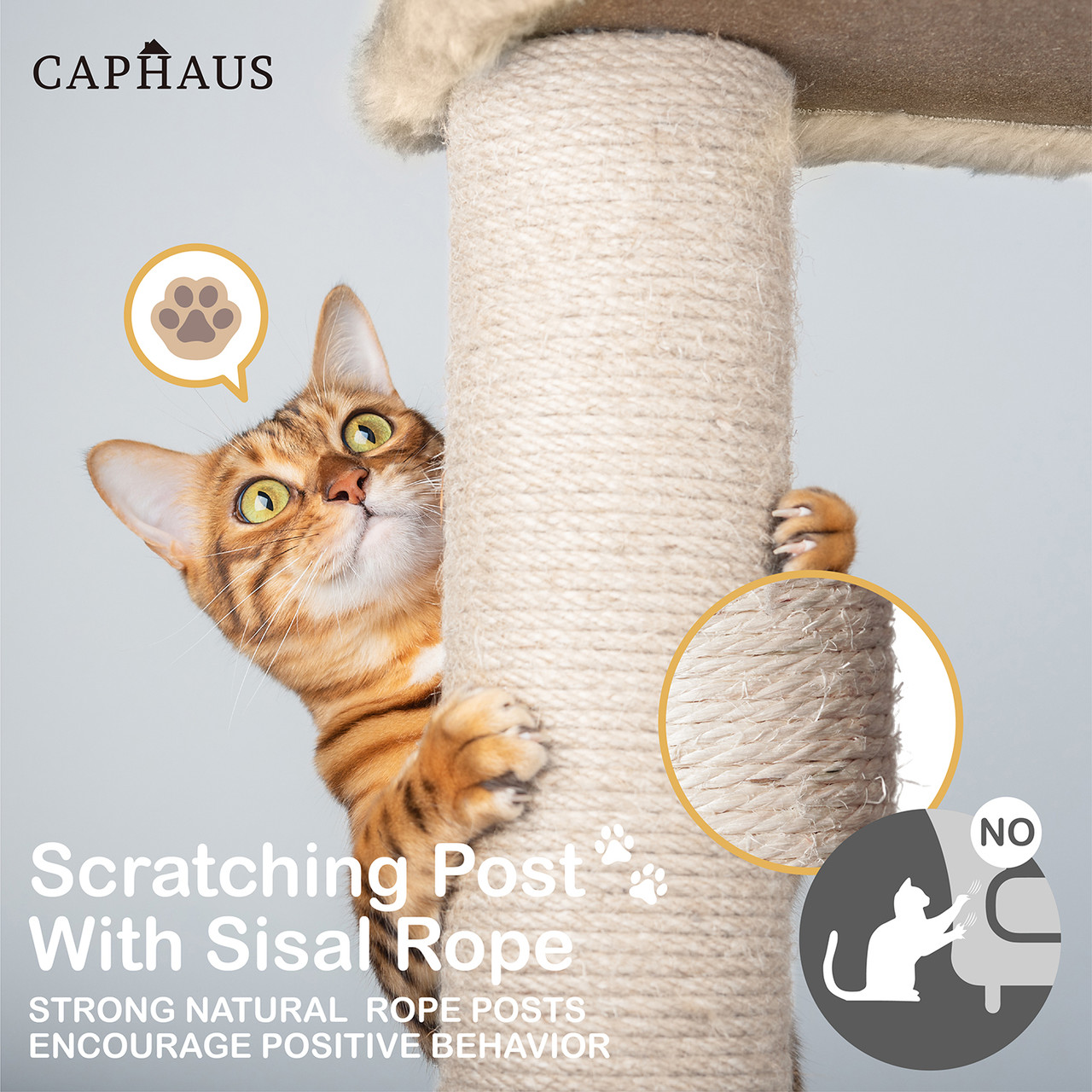 CAPHAUS Tall Cat Tree for Indoor Cats, Modern Cute 70-Inch Cat Climbing Play Tower with Top Perch for Large Cats Kittens, Multi-Level Cat Activity Tree w Scratching Posts, Hammock, Cat Cave Condo