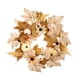 thumbnail image 1 of Fall Wreath Corona de Puerta Delantera de 14.6 Pulgadas para Celebraciones en Al Aire Libre, 1 of 9