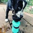 lesotc Pet Water Bottle for Dogs,Dog Water Bottle Foldable,Leak Proof Dog Travel Water Bottle