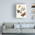 thumbnail image 3 of Unknown 'Butterflies And Moths I' Canvas Art, 3 of 3