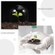 thumbnail image 4 of 3 campanas de plástico para vivero de plantas, protección contra heladas, miniprotección de árboles, macetas de exterior para invernaderos., 4 of 7